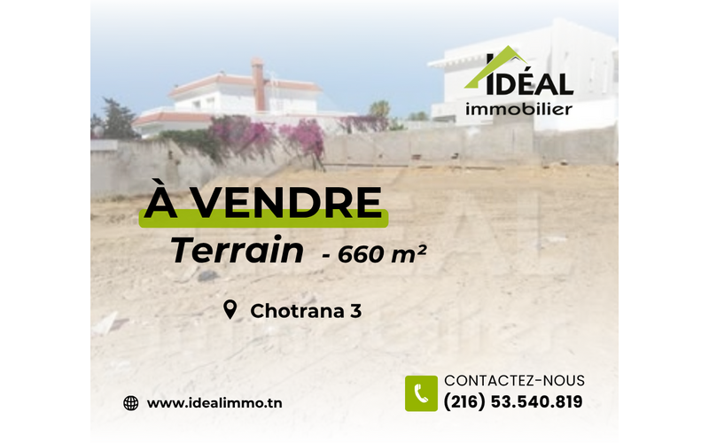 Terrain